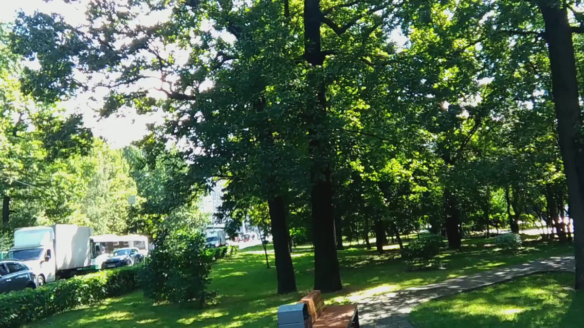 Load video: 
